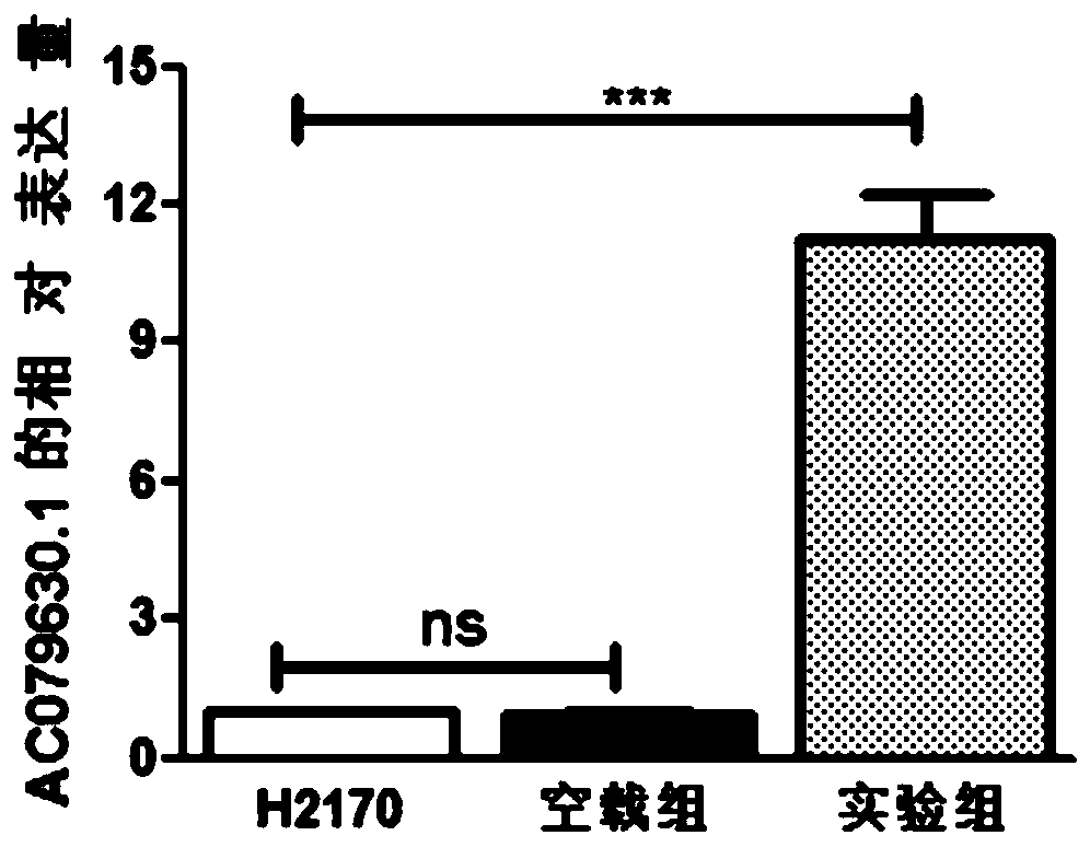 Biomarker and application thereof in lung cancer treatment