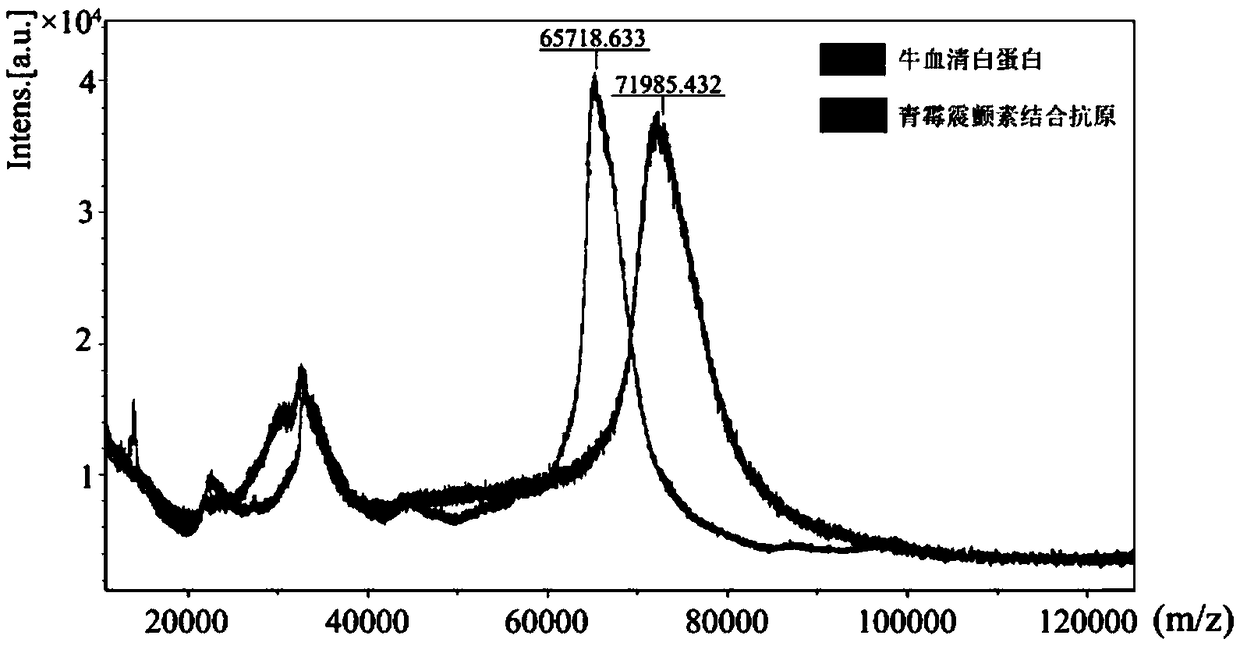 Preparation and application of a penicillin-tremorin binding antigen and its antibody