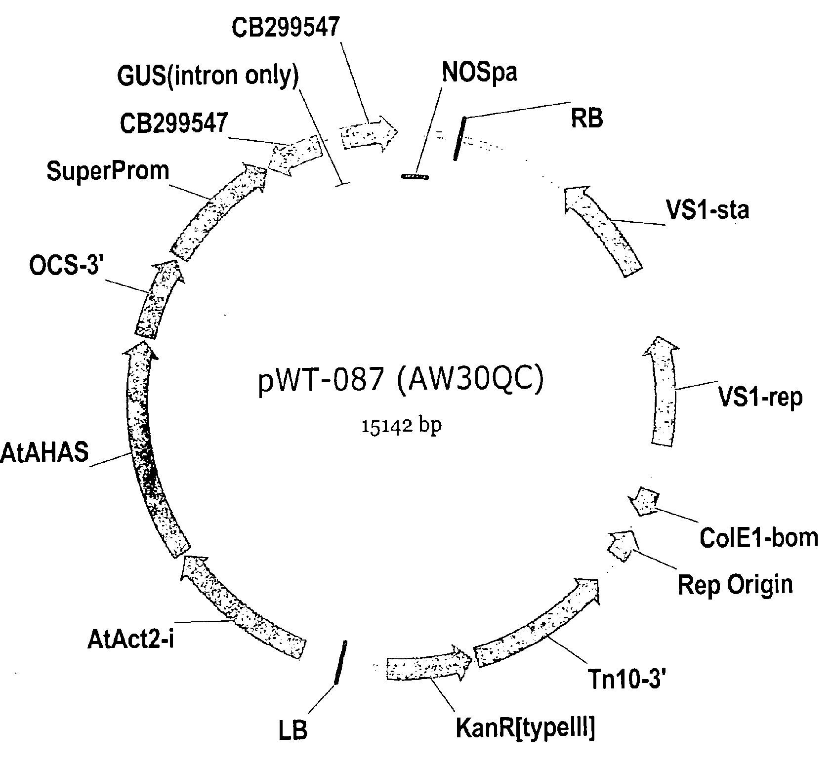 Compositions and methods using RNA interference for control of nematodes