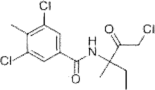 Sterilization composition containing zoxamide and copper pimaric acid
