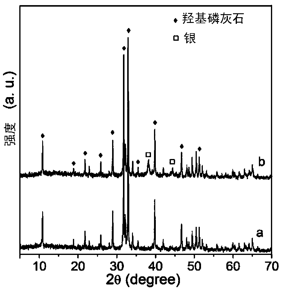 Nano-silver composite hydroxyapatite ultra-long nanowire antibacterial paper