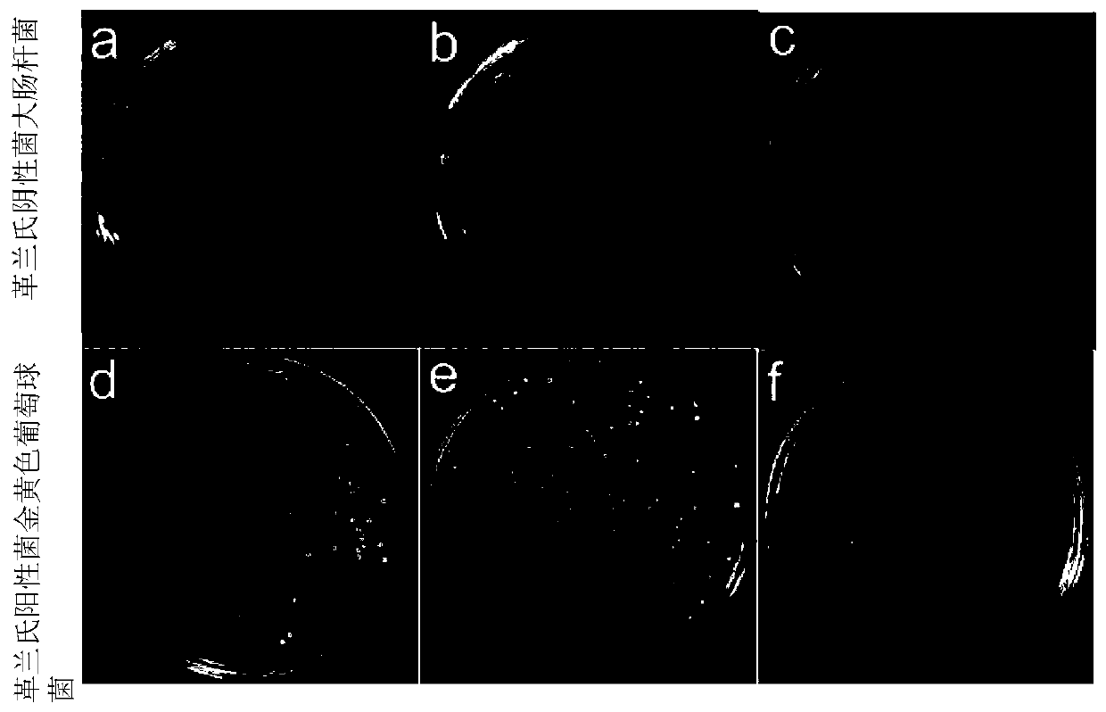 Nano-silver composite hydroxyapatite ultra-long nanowire antibacterial paper