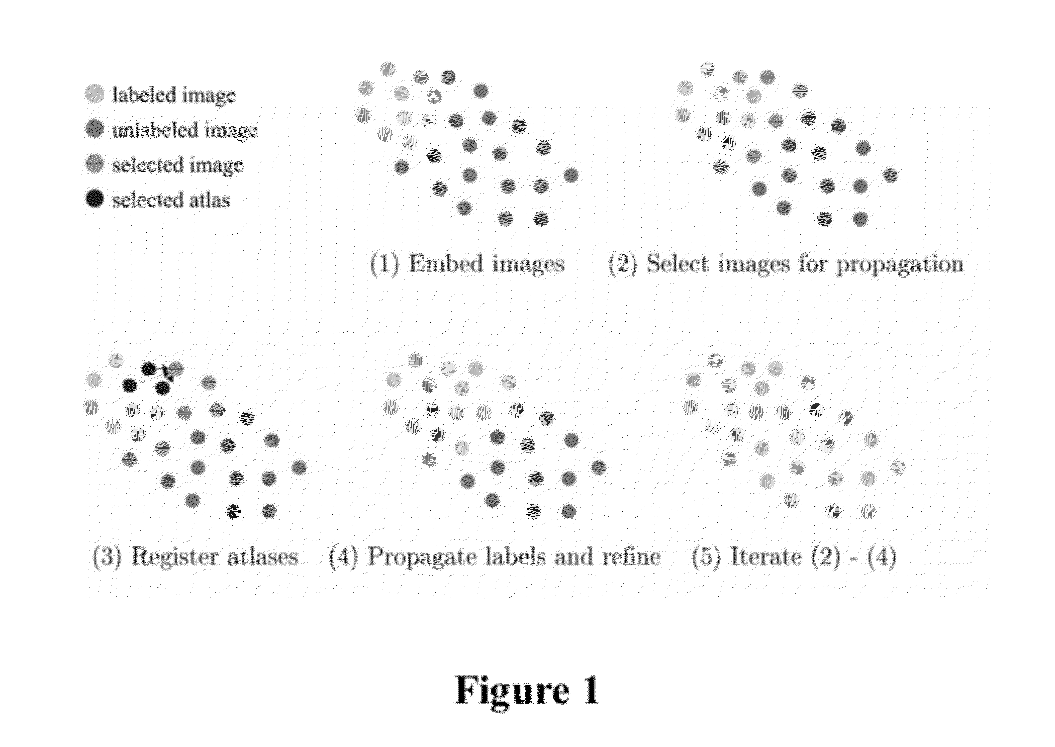 Method and apparatus for processing medical images