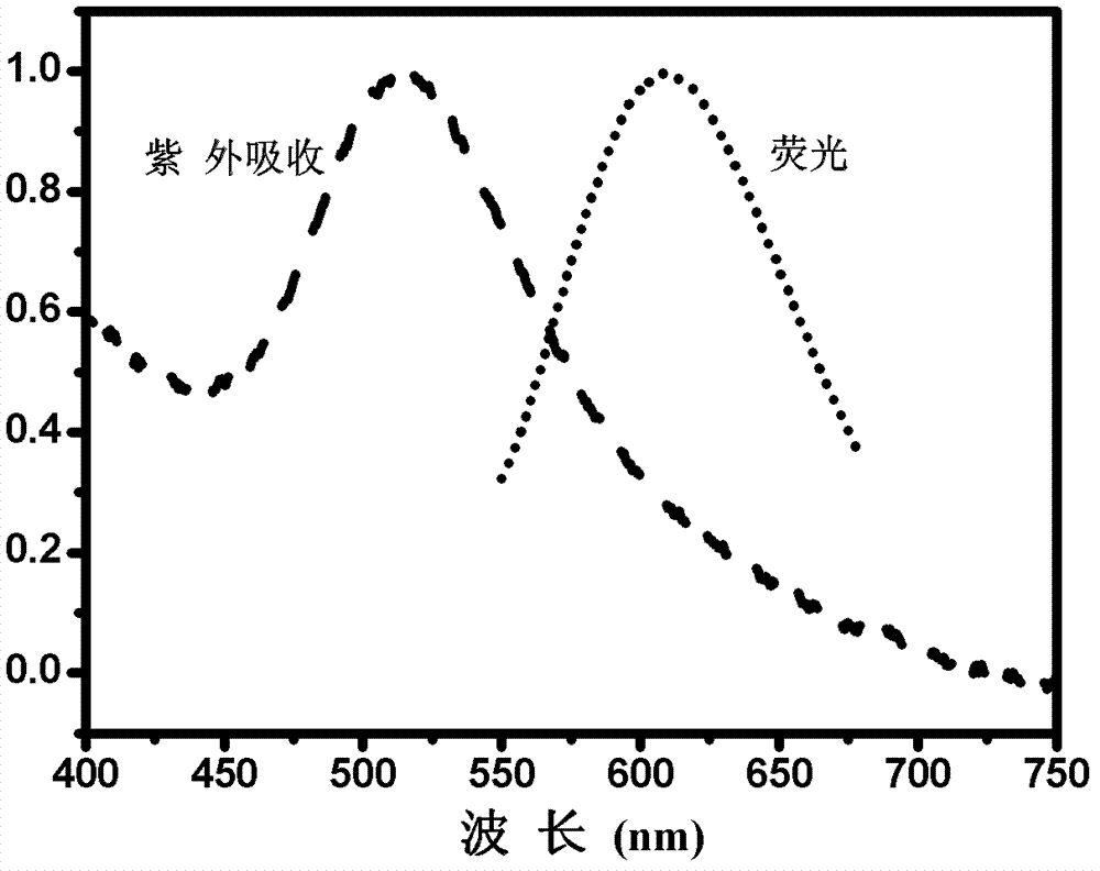 Fluorescent silver nanocluster as well as preparation method and application thereof