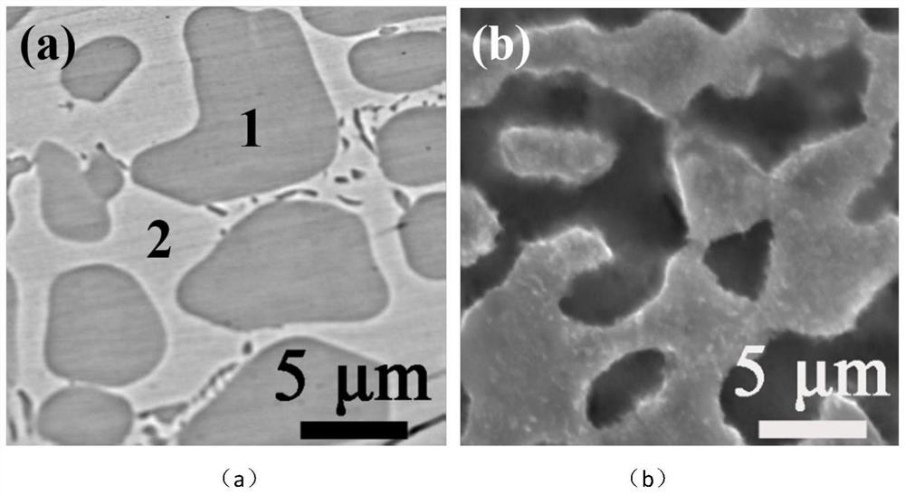 Zr-based micro/nano porous alloy and preparation method thereof
