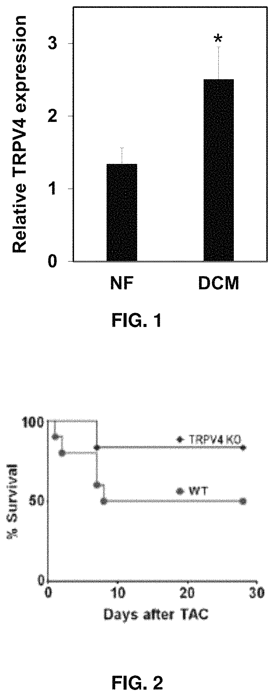 Methods for treating ischemic heart disease by targeting TRPV4