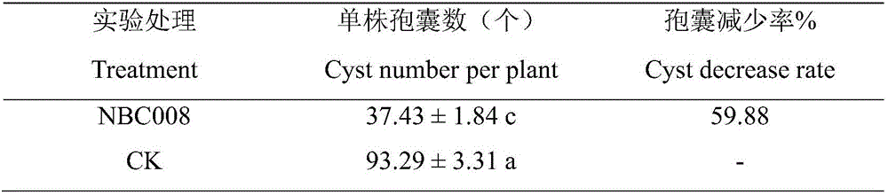 Oxalic acid penicillium NBC008 with nematocidal activity, and preparation method and application thereof