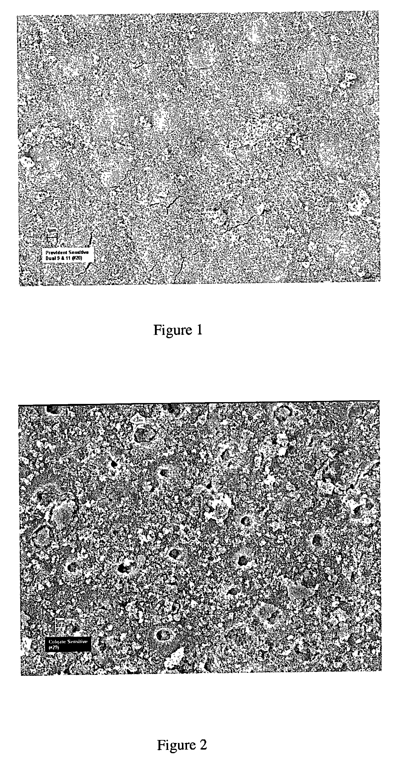 Dual component dentinal desensitizing dentifrice