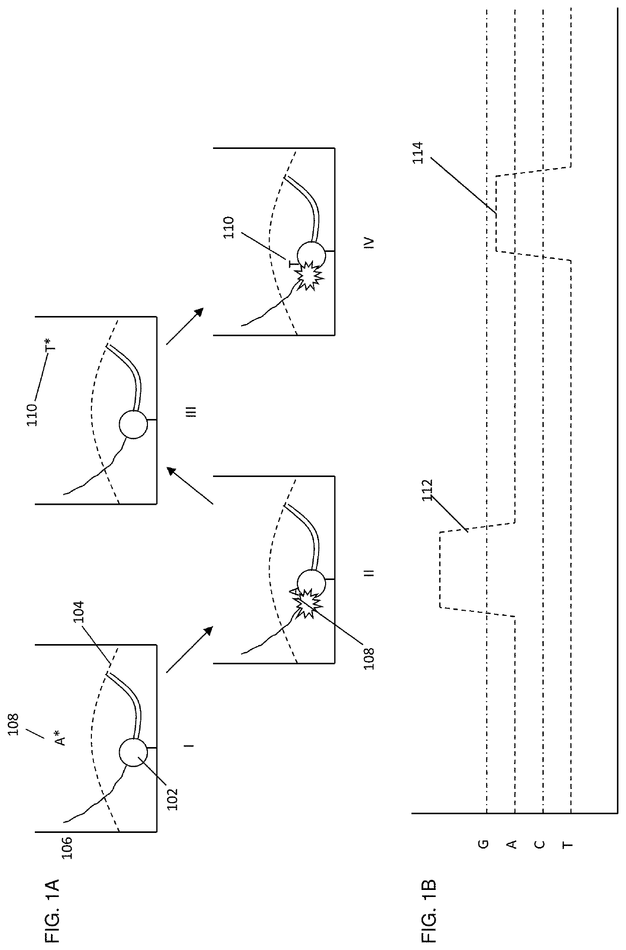 Modified nucleotide reagents