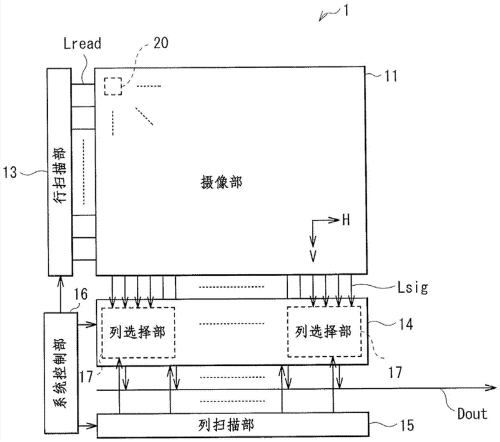 Camera department and camera display system
