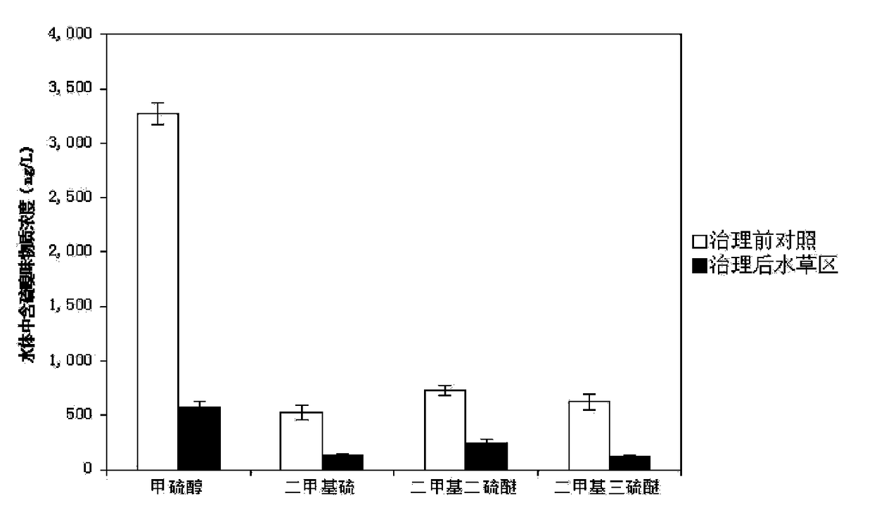 An ecological restoration method for in-situ stabilization of heavily polluted river sludge