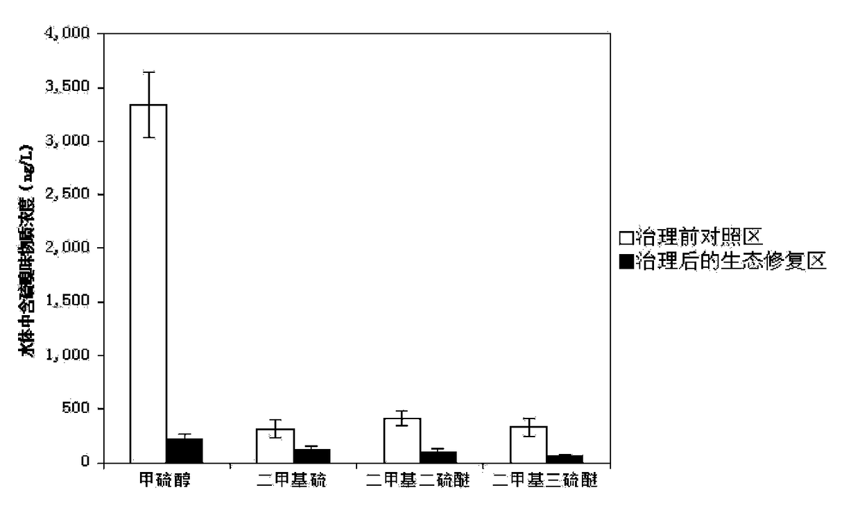 An ecological restoration method for in-situ stabilization of heavily polluted river sludge