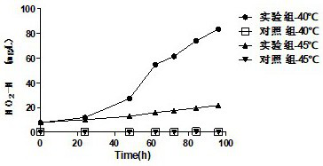 A high temperature resistant nitrosomonas and its application in sewage treatment