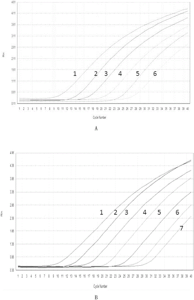 Primer set for detecting American canine influenza virus subtype H3N8 and application thereof