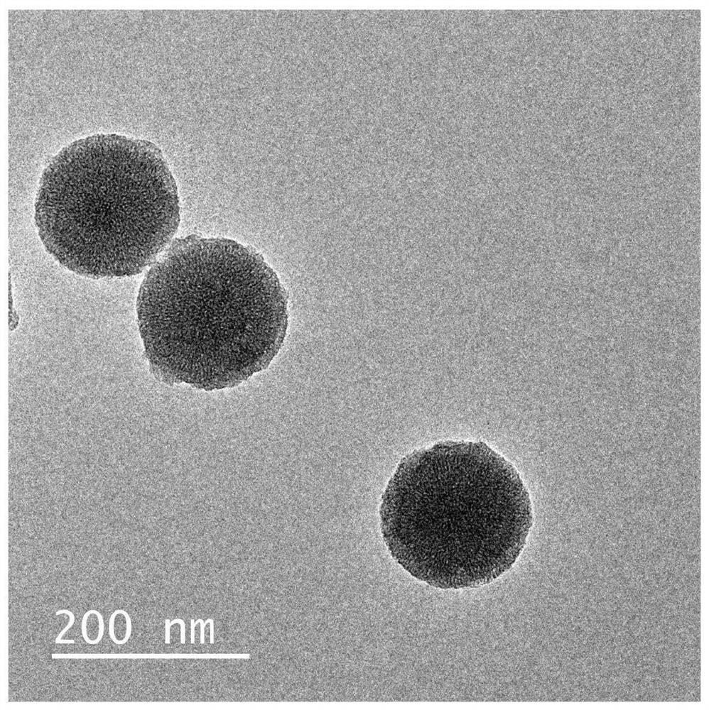Mesoporous silica nanosphere with ultrahigh specific surface area and preparation method thereof