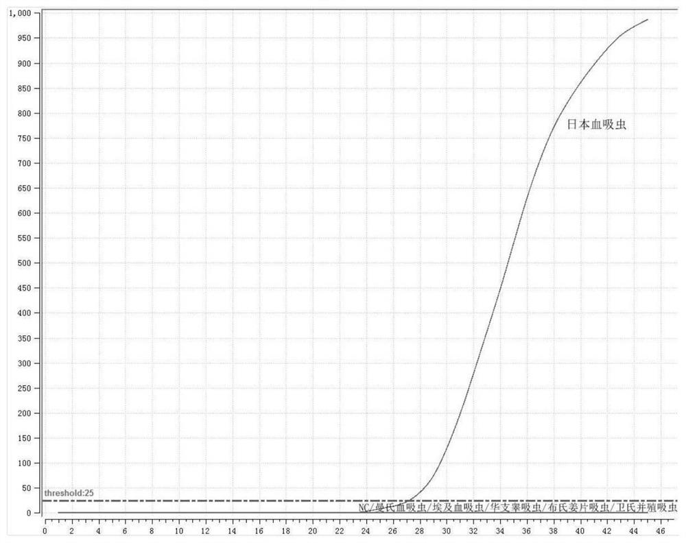 Primer probe group and kit for detecting nucleic acid of schistosoma japonicum katsurada based on fluorescent RMA method and detection method of schistosoma japonicum katsurada