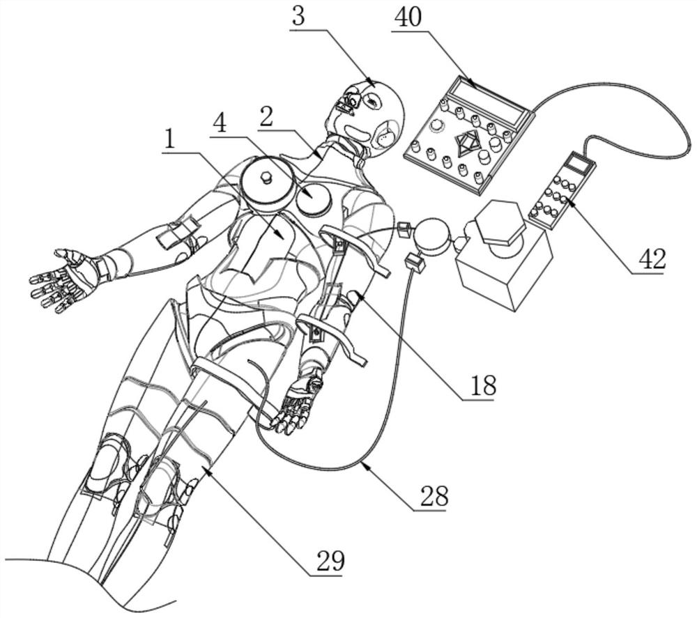 Cardiopulmonary resuscitation training and examination integrated device