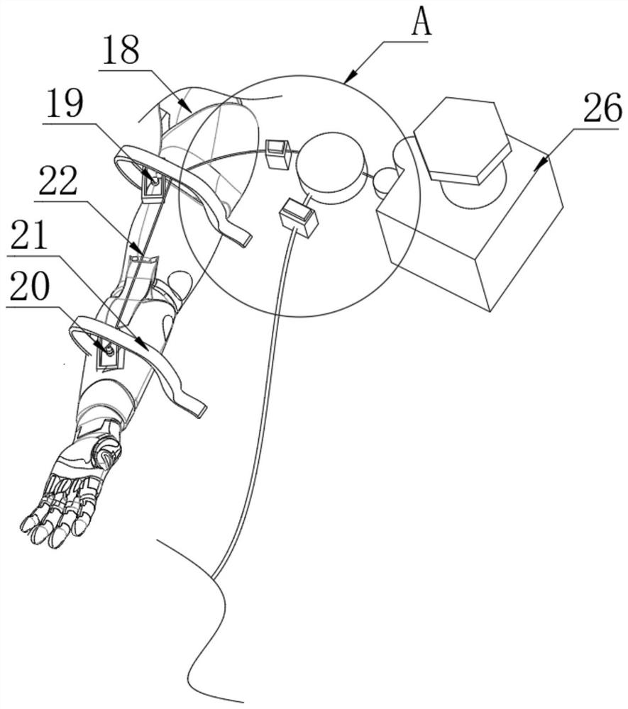 Cardiopulmonary resuscitation training and examination integrated device