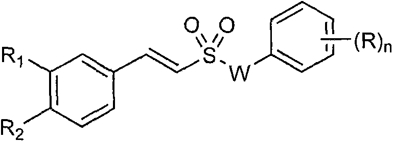 Styryl sulfone compounds, their preparation and their use as neuroprotective agents