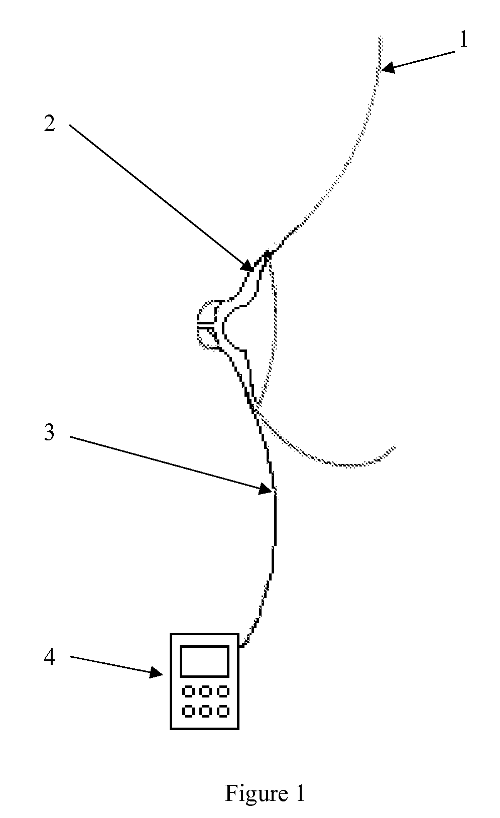 Apparatus For Determining the Amount of Milk Breast-Fed to a Baby by Convective Heat Transfer
