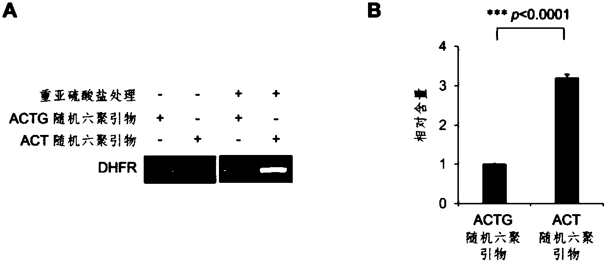 Library construction method and application of rna 5mC bisulfite sequencing