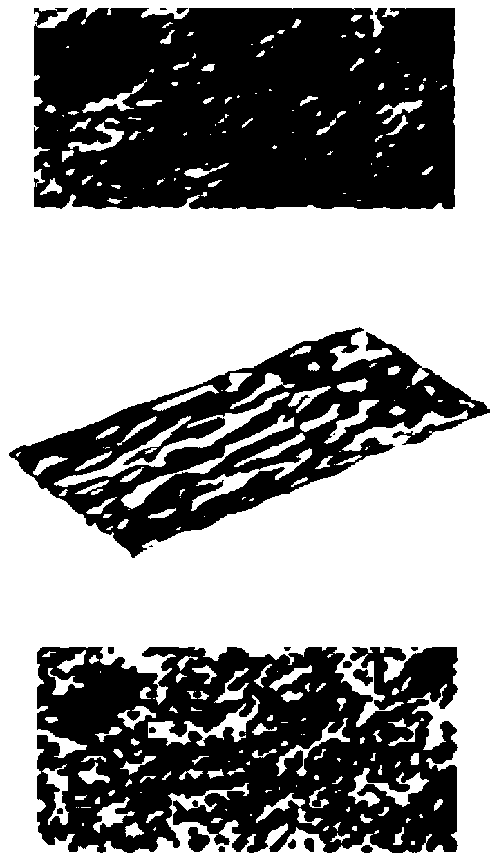 Rough surface crack generation method based on digital image technology and test system