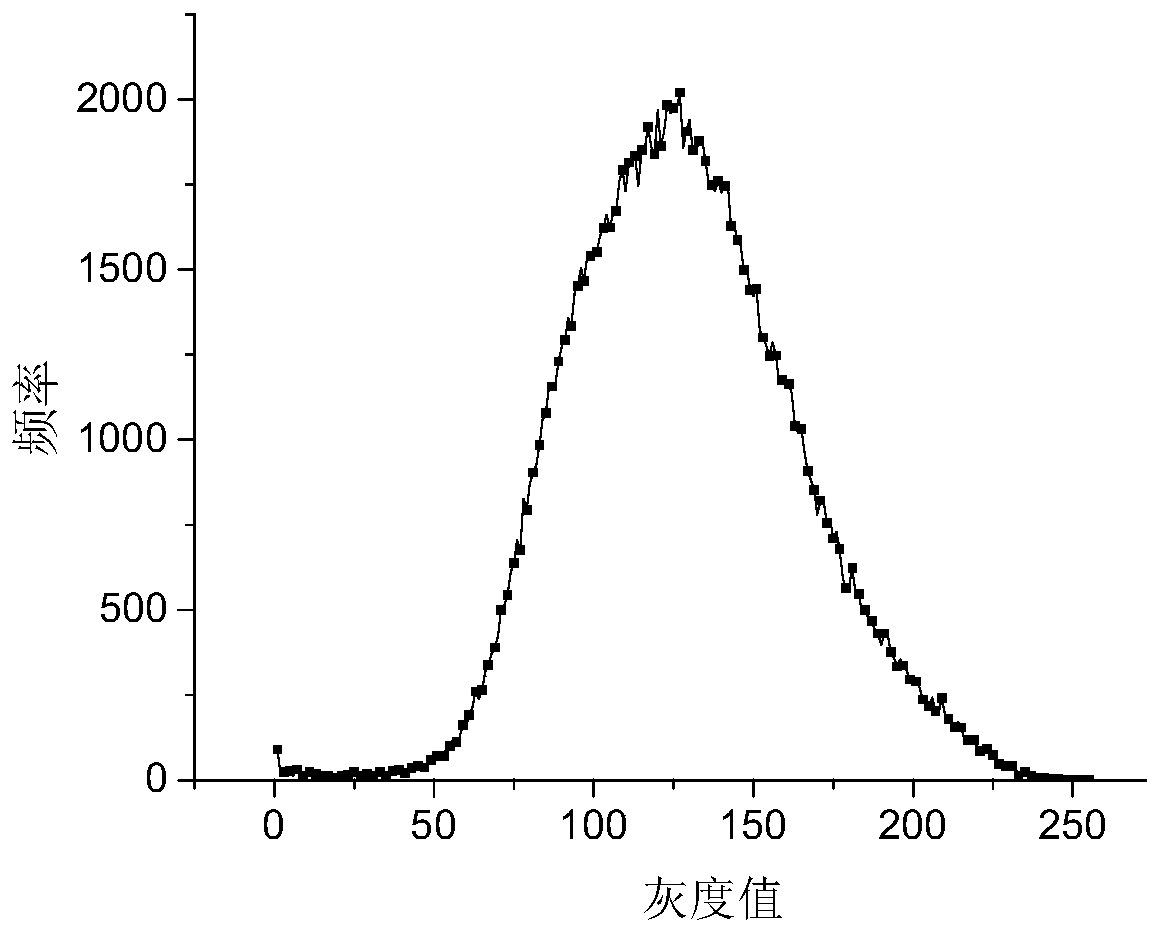 Rough surface crack generation method based on digital image technology and test system