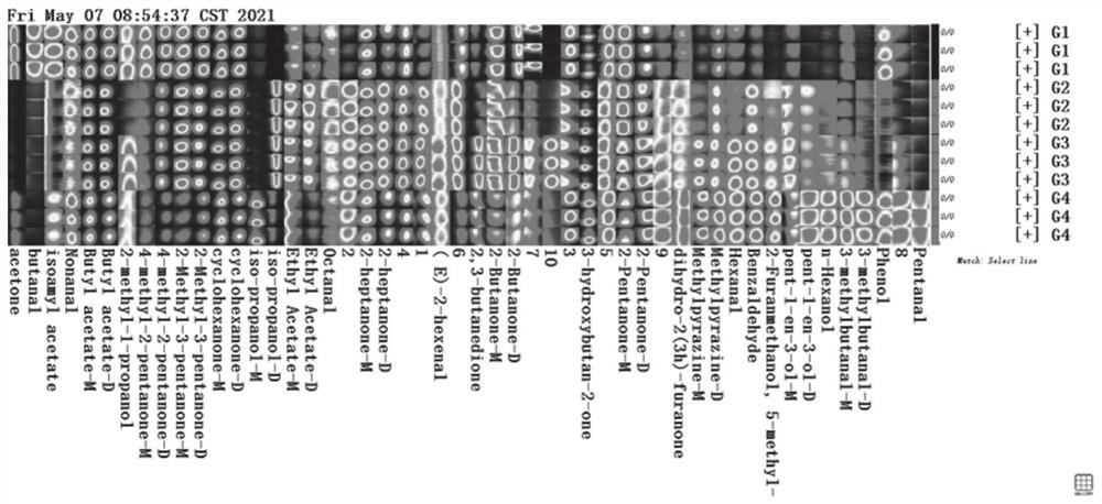 Functional dairy product containing whey oligopeptide and preparation method thereof