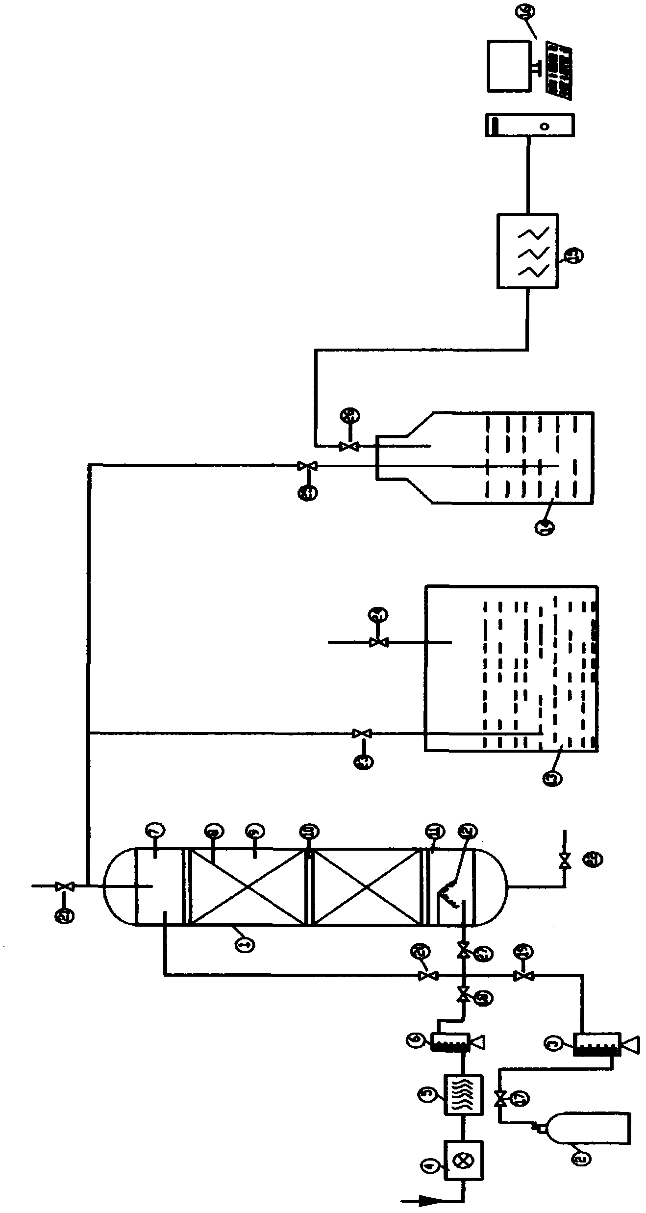 Ferrous sulfide gas phase passivation device