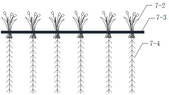 Constructed wetland system and technology for preventing blockage and strengthening anaerobic ammonia oxidation denitrification