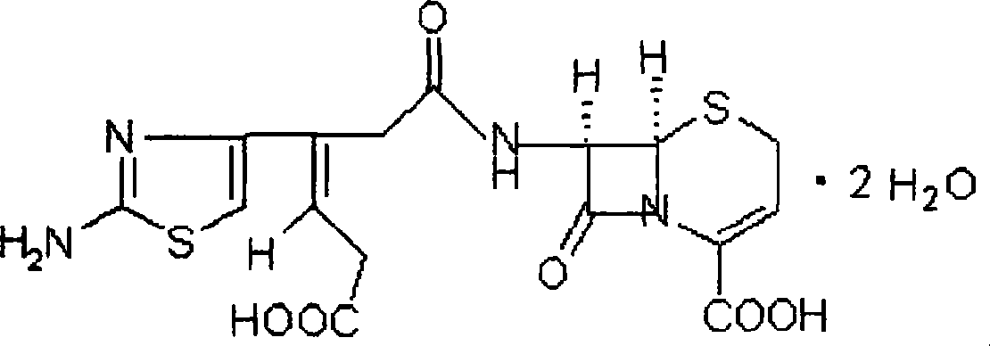 Ceftibuten sustained release tablets