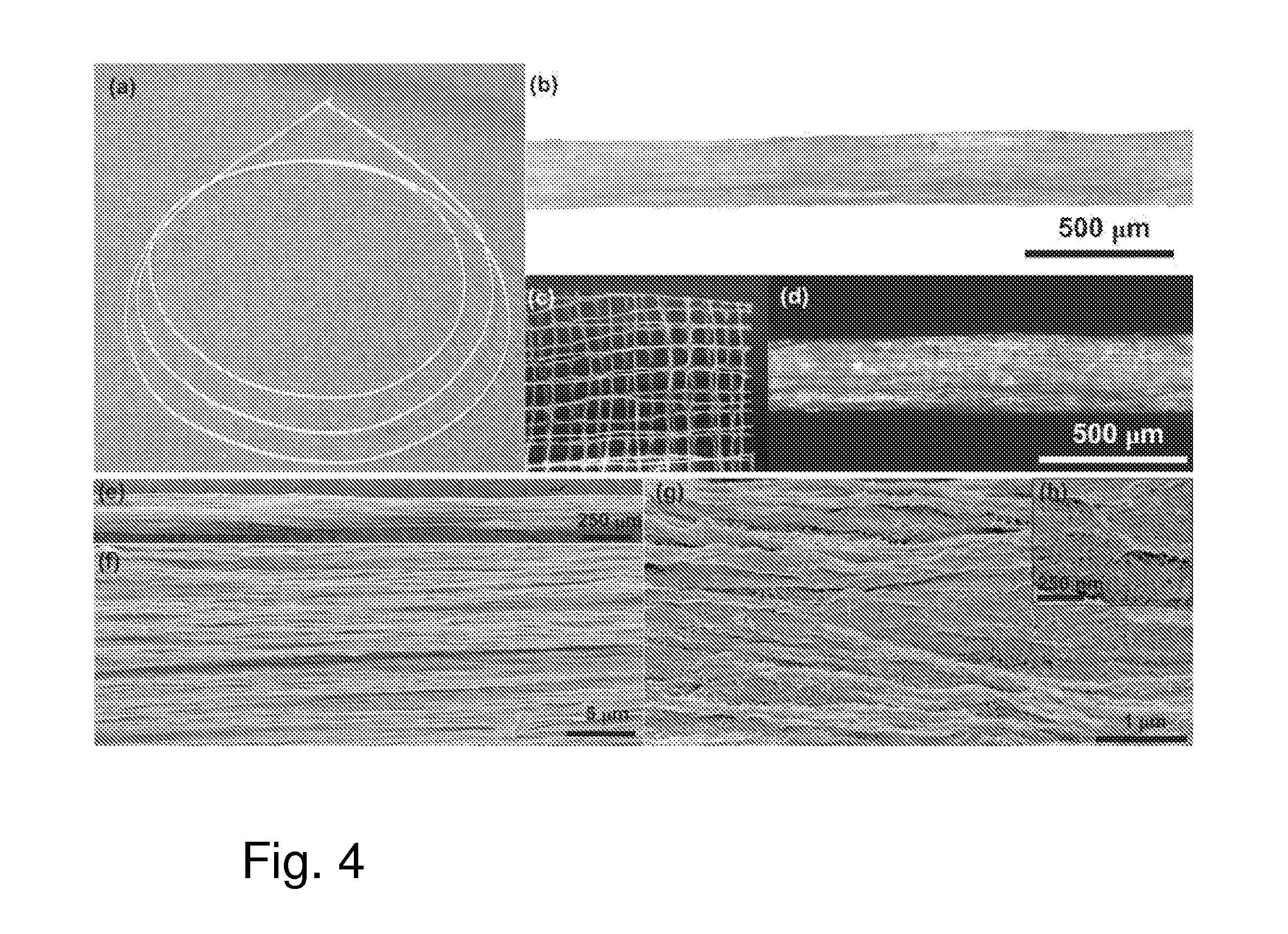 Method for fabricating fiber products and composites
