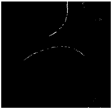 Method for preparing graphene by taking coal as raw material