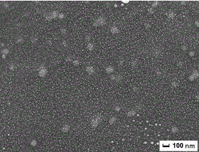 Method for preparing nano-silver-graphene composite film