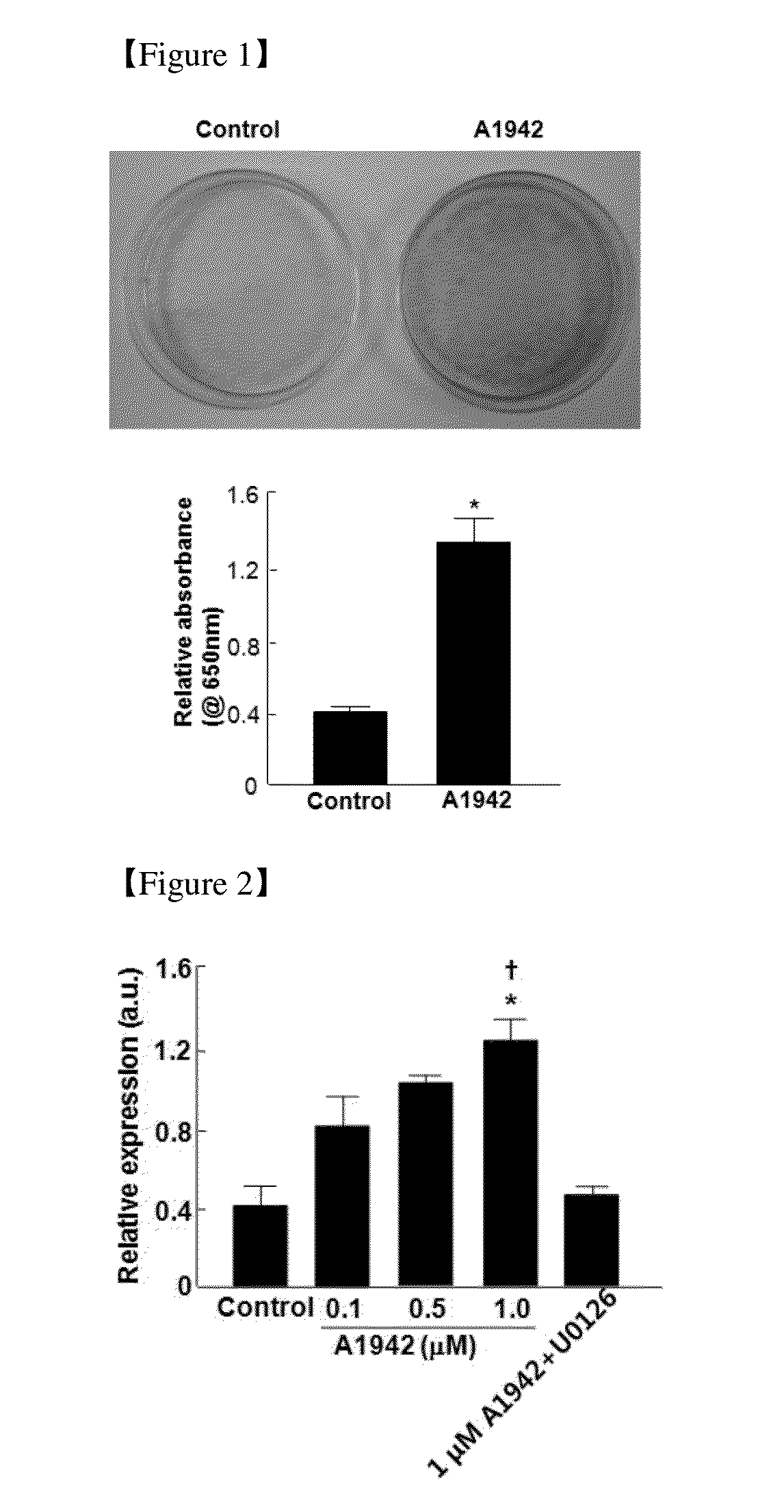 Use of a Compound for Inducing Differentiation of Mesenchymal Stem Cells into Cartilage Cells