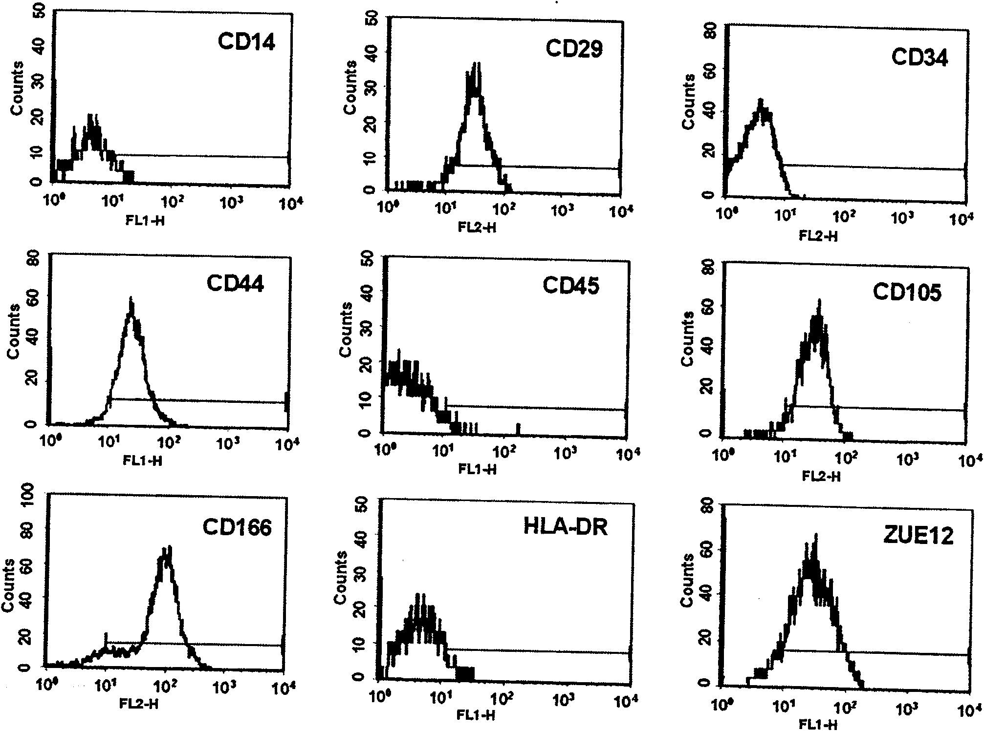 Method for sorting human marrow mesenchymal stem cell by monoclonal antibody ZUE12 immunomagnetic bead