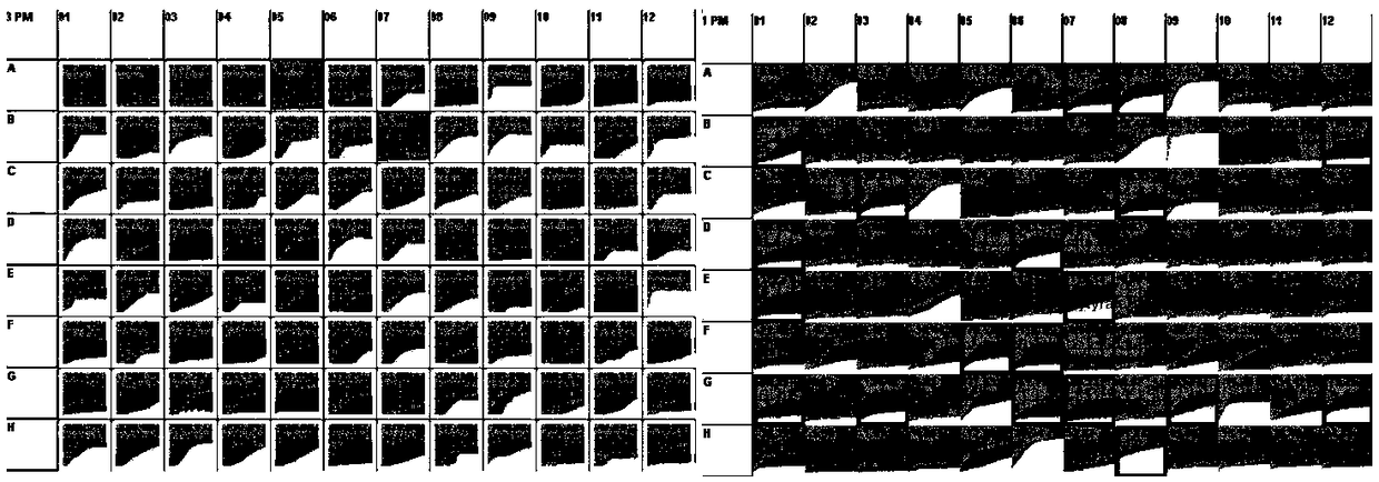 Method for determining fermentation capability of functional microbial carrier