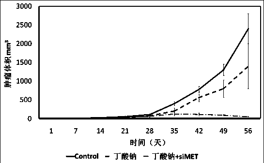 Method for treating cancer by combined application of c-MET inhibitor and sodium butyrate