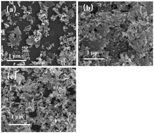 Electrochemical catalyst for oxygen evolution reaction, and preparation method and application thereof