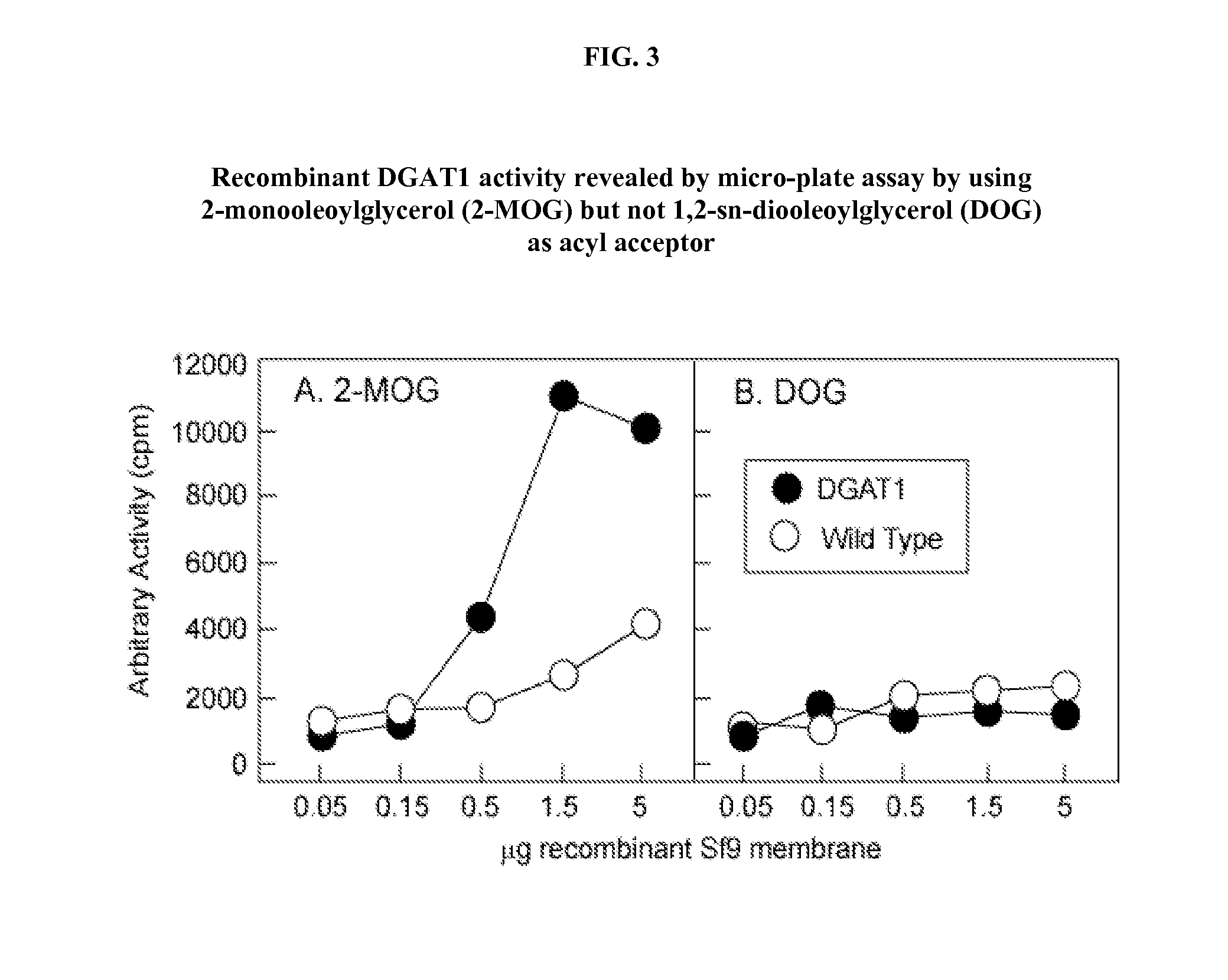 Assay for measuring acyltransferase activity