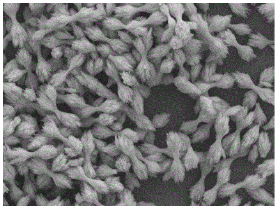 Preparation method for monodisperse dumbbell-shaped barium carbonate particles