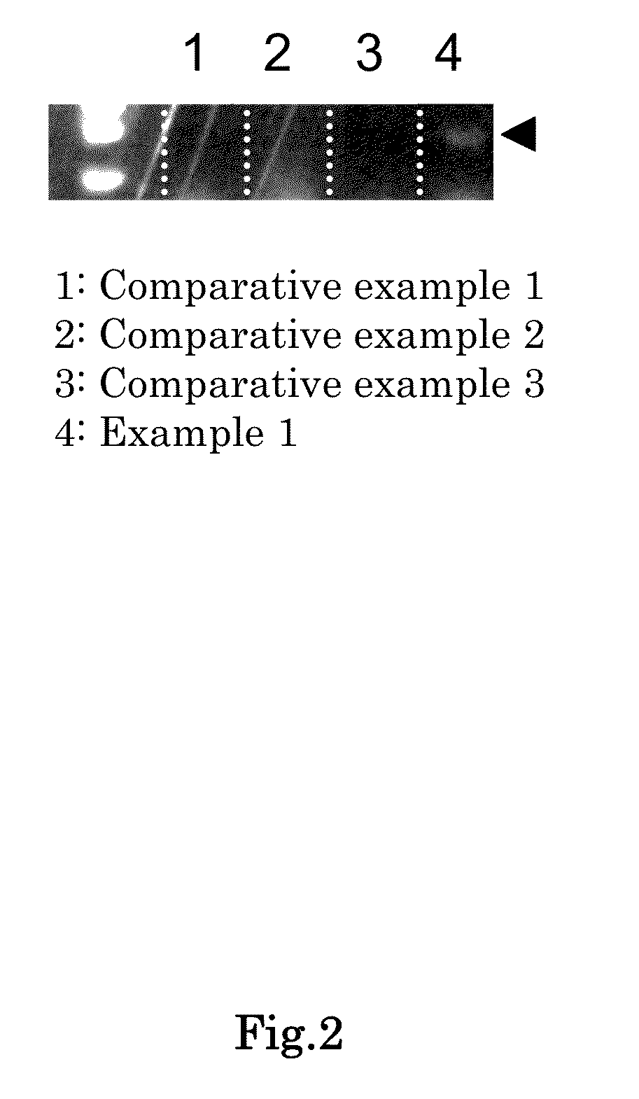 Method for identifying olfactory receptor included in one olfactory cell