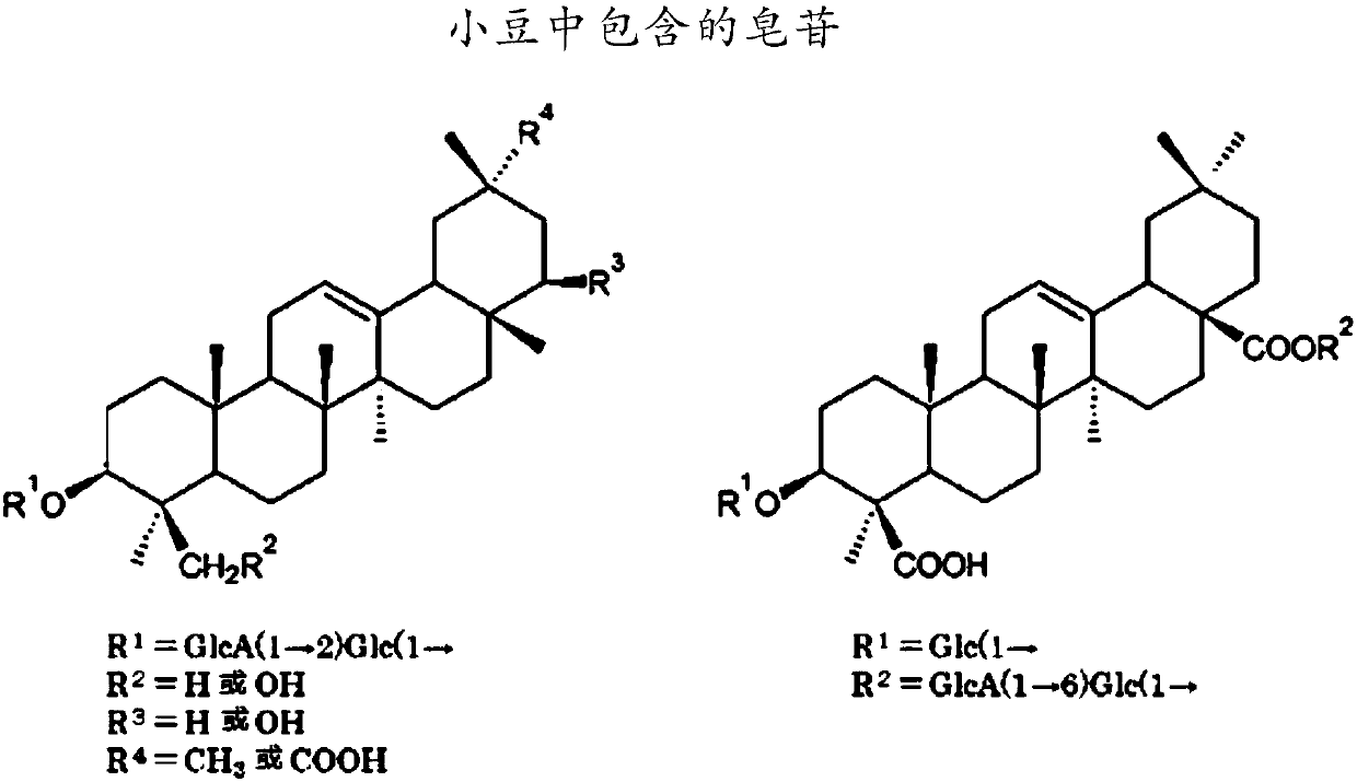 Body cleanser containing saponin together with carbonate ion and/or hydrogen carbonate ion