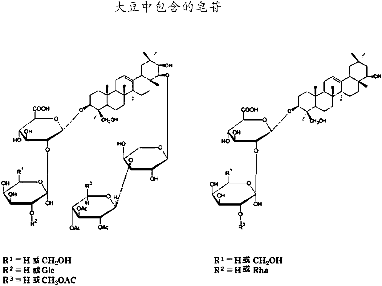 Body cleanser containing saponin together with carbonate ion and/or hydrogen carbonate ion