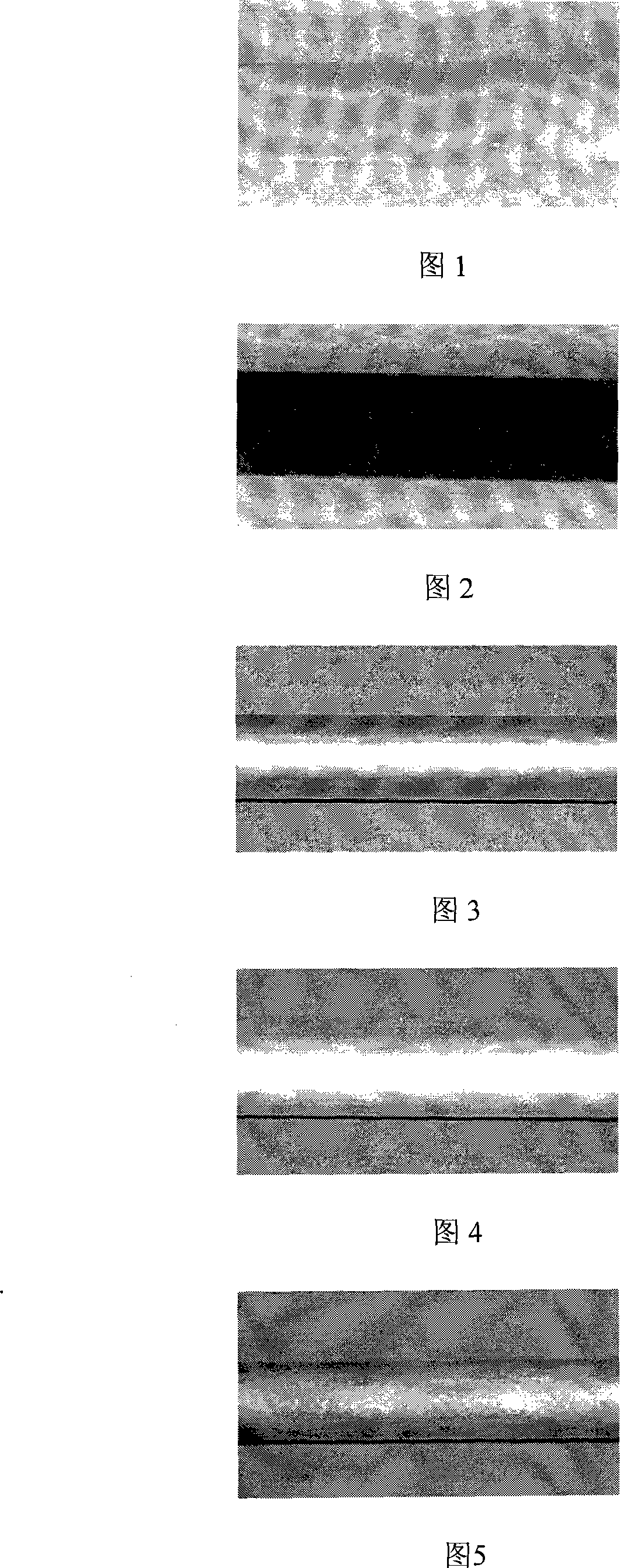 Atomizing activating process for electroless plating on water-absorbing substrate surface
