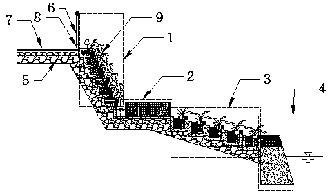 Multi-stage purification landscape structure for sloping fields along river and construction method thereof