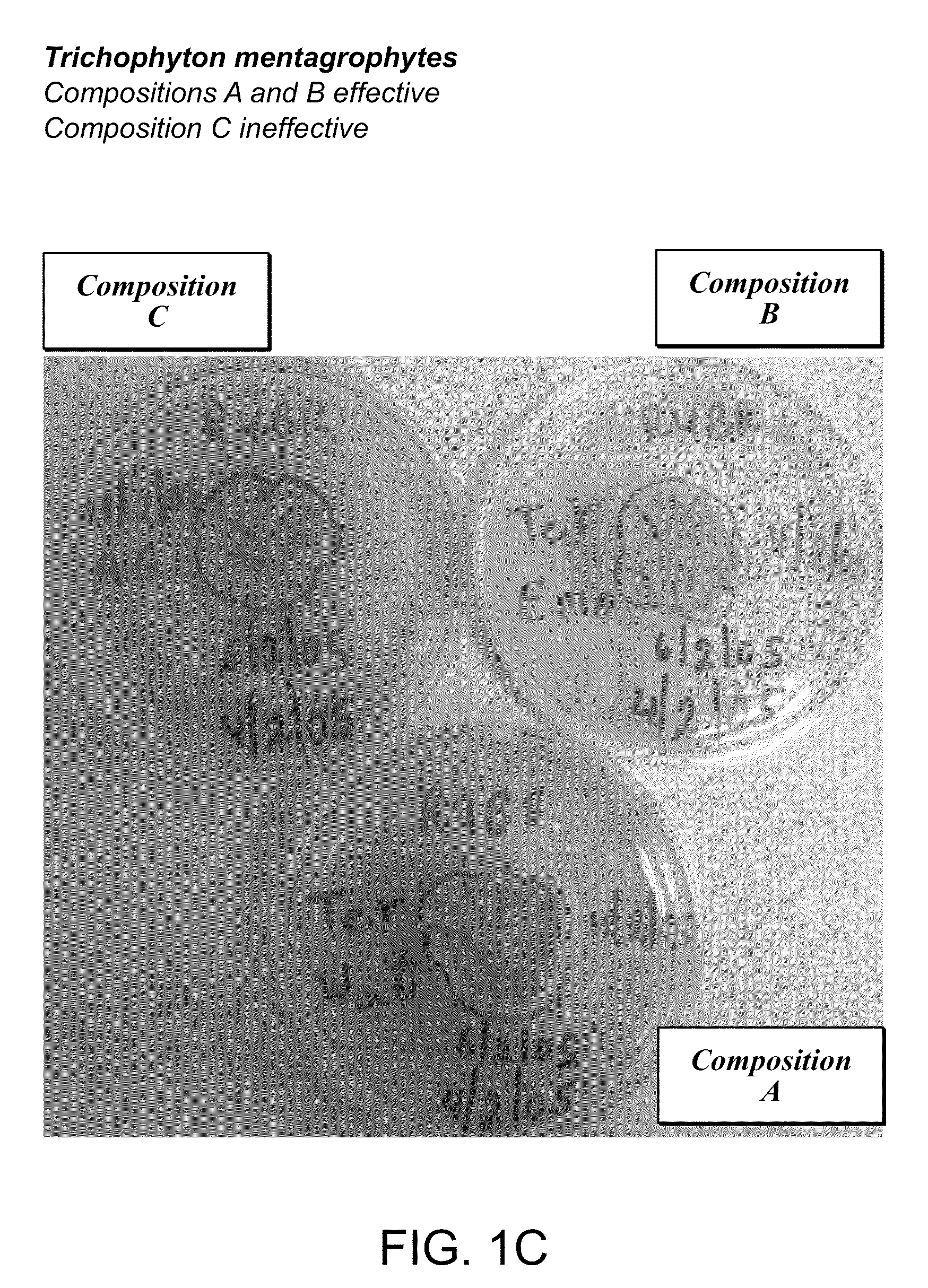 Foamable vehicle and pharmaceutical compositions thereof
