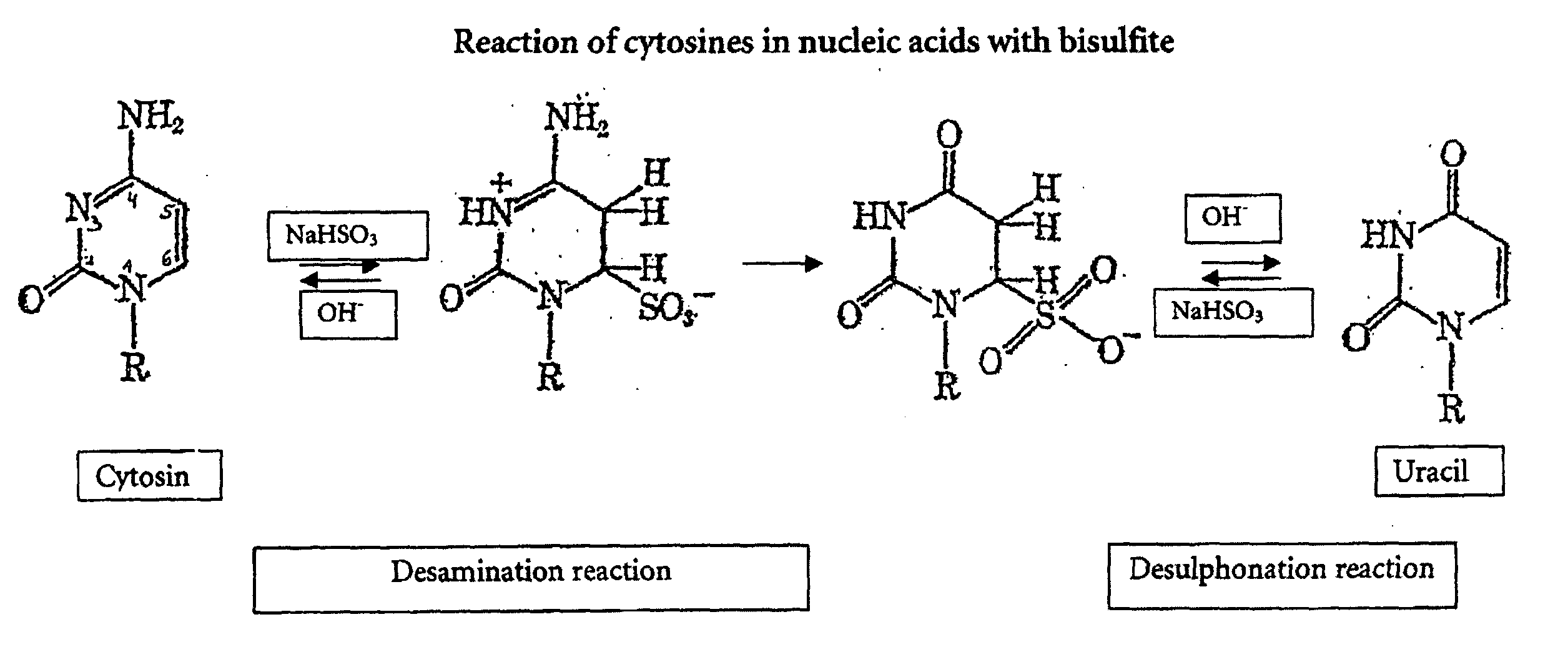 Method for bisulfite treatment