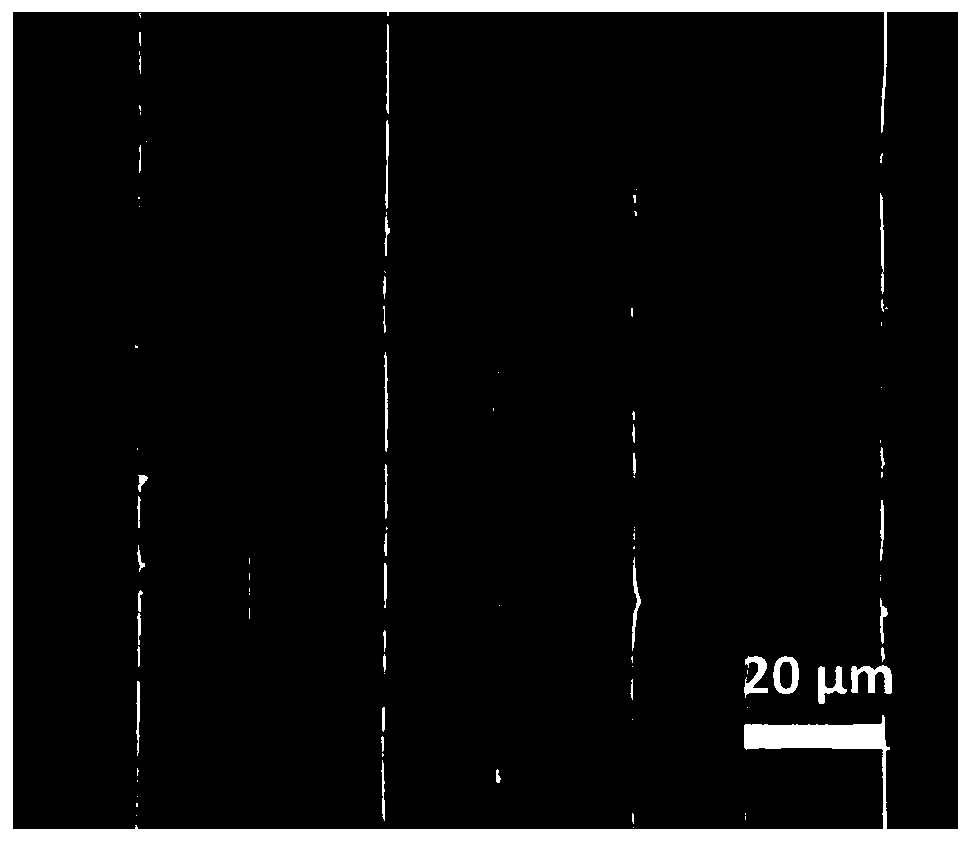 A method for patterning platelets on the surface of materials using polyphenolic compounds