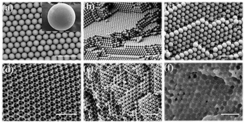 A kind of chitosan antibacterial microsphere capable of slow-release growth factor and its preparation method and application